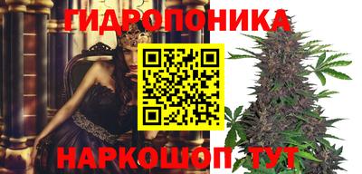 эйфоретик Новозыбков