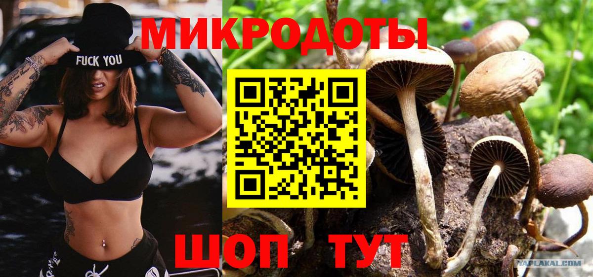 Сатка  Псилоцибиновые грибы прущие грибы  как найти   Вход с VPN 