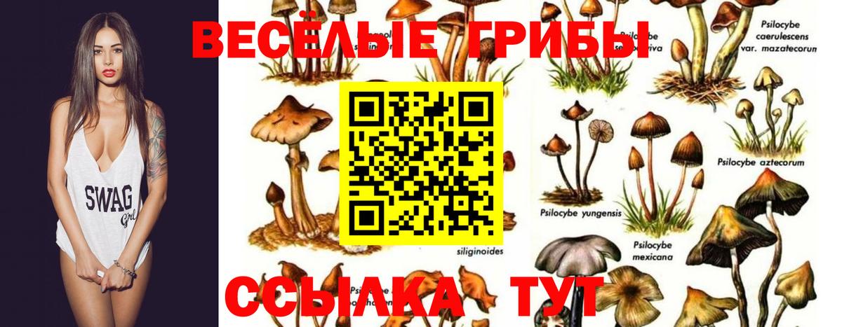 APVP Сатка