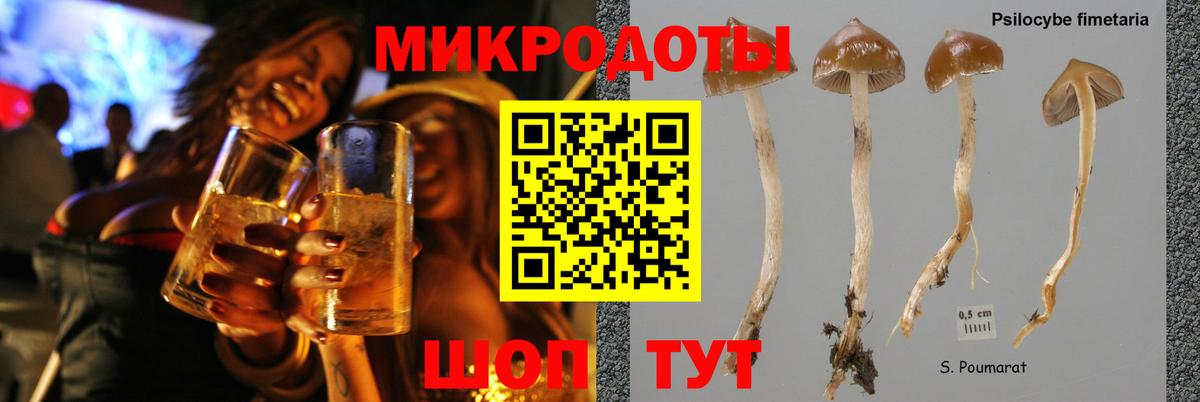 Галлюциногенные грибы прущие грибы Сатка